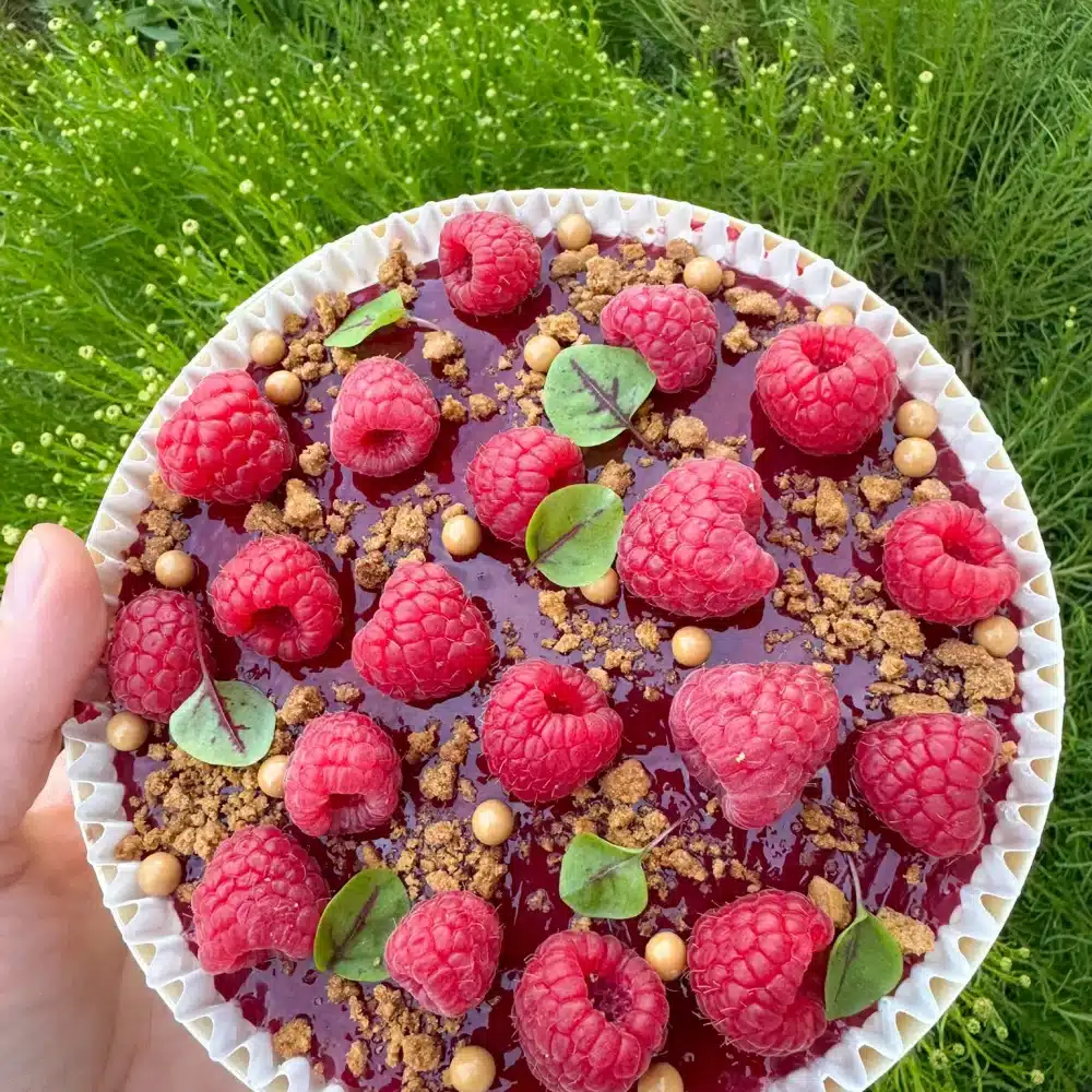 Tiramisu Framboise Speculoos