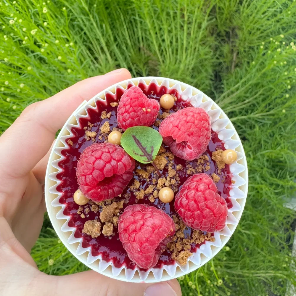 Tiramisu Framboise Speculoos